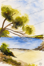 Le pin des rivages -Aquarelle originale encadrée