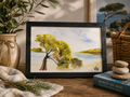 Le Pin des Calanques -Aquarelle originale encadrée