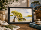 Le Pin des Calanques -Aquarelle originale encadrée