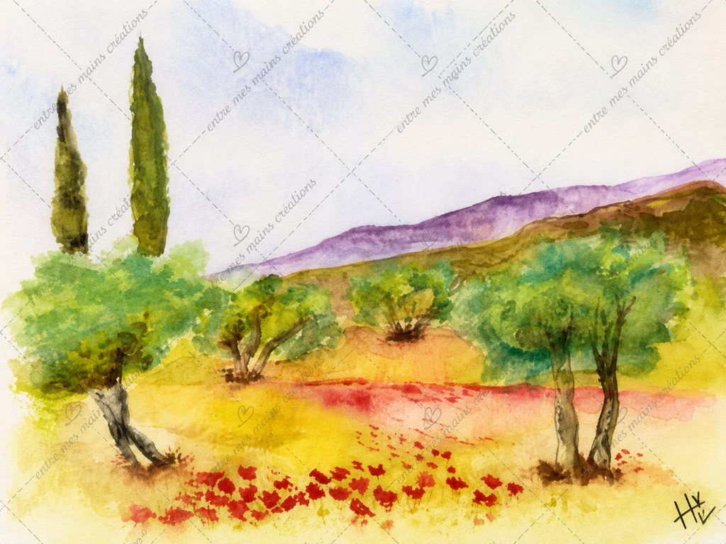 Les Oliviers de Provence – Aquarelle originale encadrée