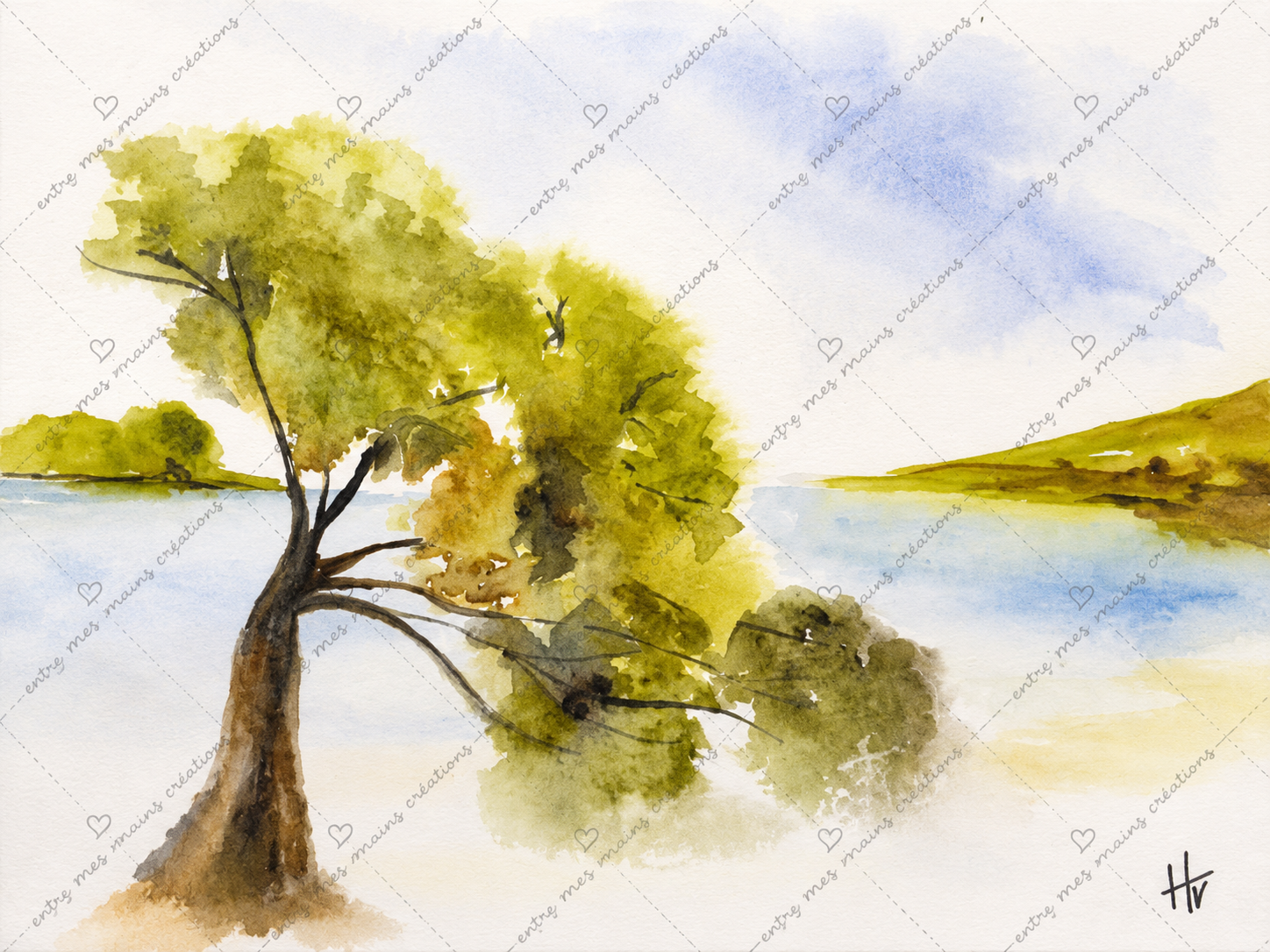 Le Pin des Calanques -Aquarelle originale encadrée